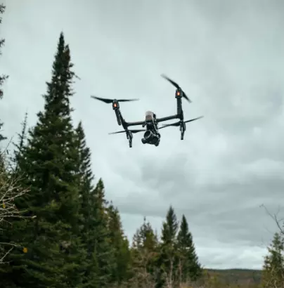 Drones and inspection